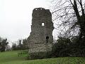 2010-0203-1250_Bramber_Castle_West_Sussex_4C